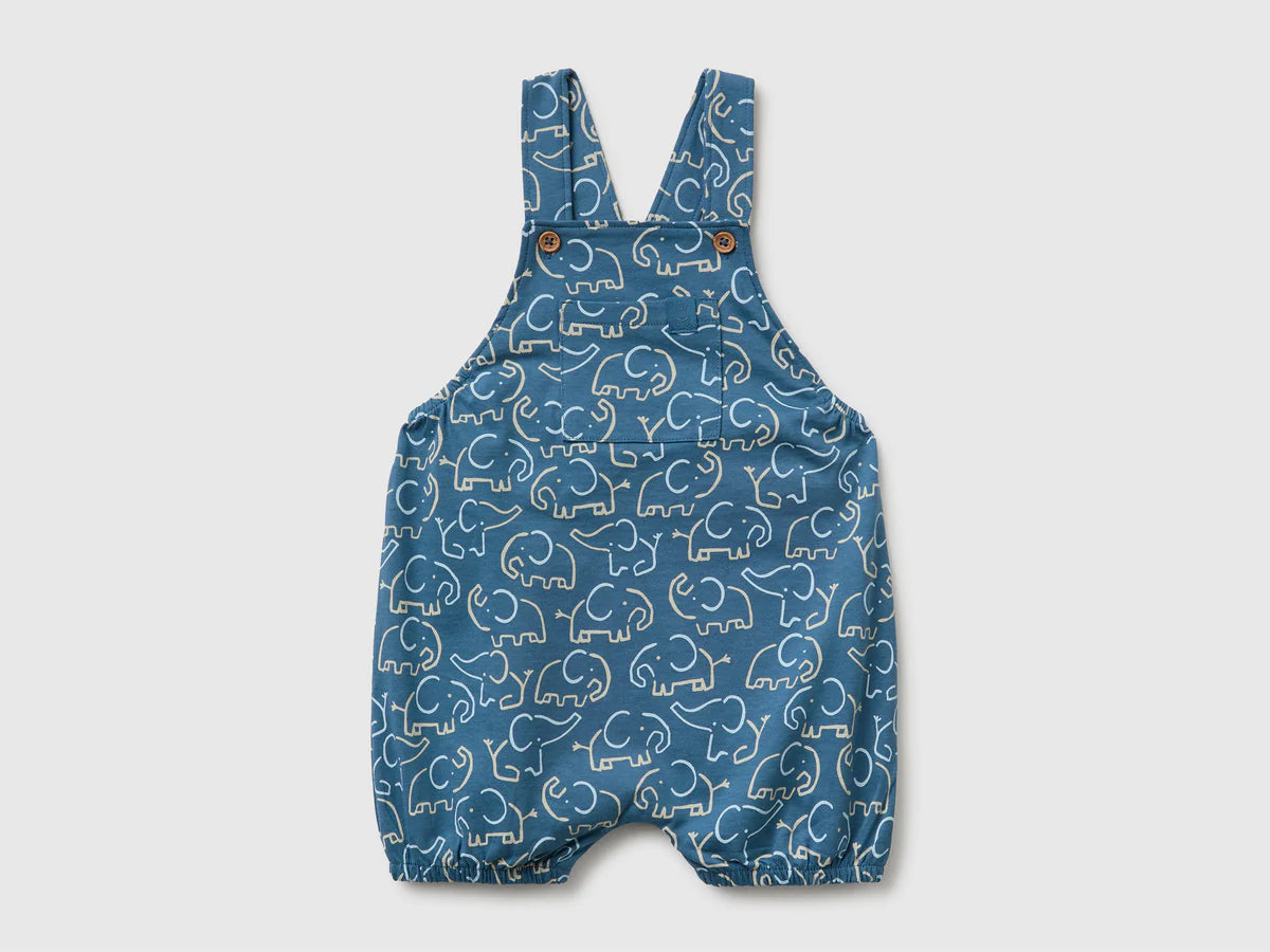 All in one with elephant print