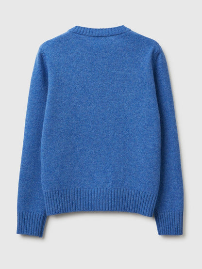 Cardigan in Pure Shetland Wool