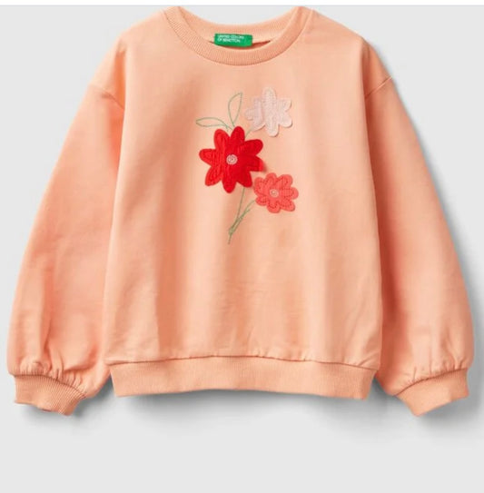 Toddler girls sweatshirt with floral embroidery